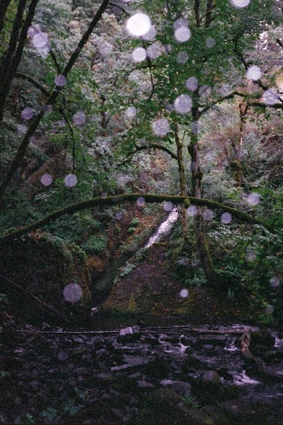 rainy creek